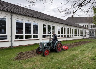 Home Blühwiese
