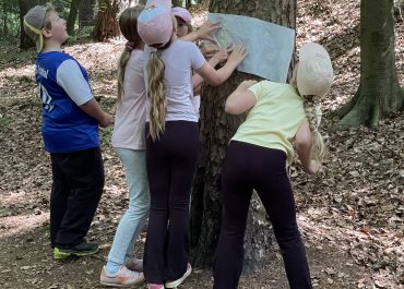 Waldentdeckungstour mit Kühleffekt bei großer Hitze